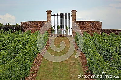 Vineyard and wall with gate Stock Photo