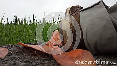 Red Leafes and Shoes Stock Photo