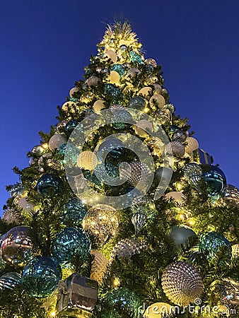 Pretty Tall Christmas Tree at Night in November Stock Photo