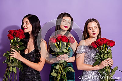 Photo of three romantic dreamy ladies hold bunch roses close eyes wear fancy dresses isolated purple color background Stock Photo