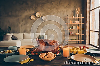 Photo of traditional thanksgiving dinner meal with roasted turkey corn harvest cranberry pie tomato potato plates forks Stock Photo