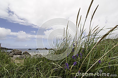 The photo of typical norwegian east coast shoreline Stock Photo