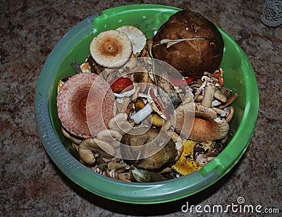 Various mushrooms in a bucket. Close-up. Stock Photo