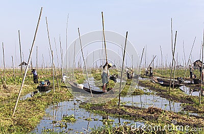 Floating Gardens of Inle Lake Editorial Stock Photo