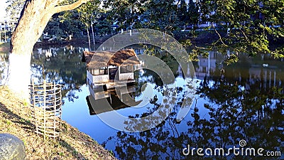 Small Pond near AEC Guwahati Editorial Stock Photo