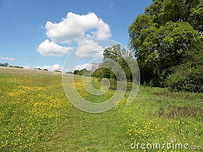 Pathway in the Chess Valley area of the Chiltern Hills Stock Photo