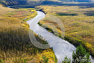 The river in autumn forests in Mohe city Great Khingan Stock Photo