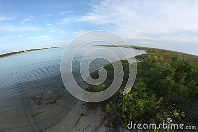 Photo of water and beach plants. Stock Photo