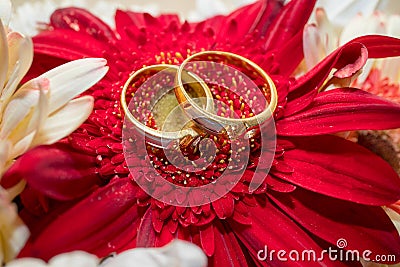 Wedding rings on red flower Stock Photo