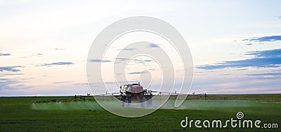 Photo of a wheat field Spraying a tractor with agrochemical or agrochemical preparations over a young wheat field in Stock Photo