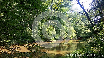 Photo of a creek in Delaware. Stock Photo