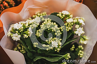 Photo of white flowers in a bouquet Stock Photo