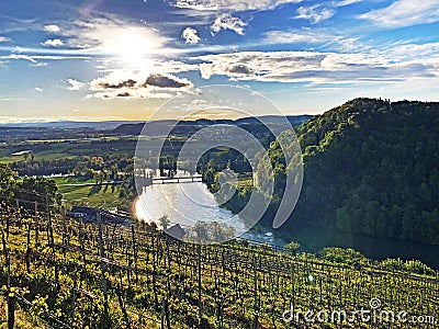 Photogenic vineyards and lowland forests in the Rhine valley, Buchberg Stock Photo