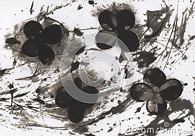 Photogram. Floral motif. Contains grain and dust. Stock Photo