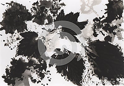Photogram. Floral motif. Contains grain and dust. Stock Photo