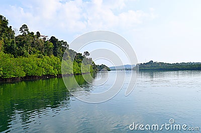 Backwater with Mangroves on Banks with Clear Water and Blue Sky - River on Great Andaman Trunk Road, Baratang Island, India Stock Photo