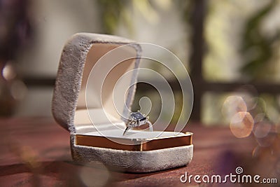 Engagement Ring Stock Photo