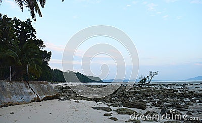 Palm Trees, Rocks, and Sky - Dawn at Vijaynagar Beach, Havelock Island, Andaman & Nicobar Islands, India Stock Photo