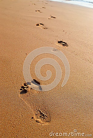 Foot Steps on Sand - Every Journey of Thousand Miles Begins with a Small Step Stock Photo