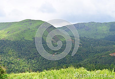 Green Hills - Western Ghats - Landscape in Kerala, India Stock Photo