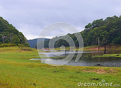 Periyar Lake with Greenery and Forest in Rainy Season - Idukki, Kerala, India - Natural Background Stock Photo