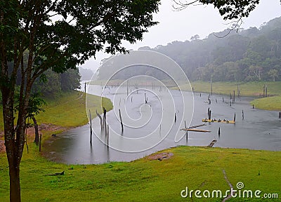 Periyar Lake, Forest and National Park in Rain, Kerala, India Stock Photo