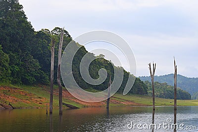 Kerala Landscape - Periyar Lake and National Park, Thekkady, Kerala, India Stock Photo