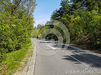 A photograph of repaired road in the forest Stock Photo