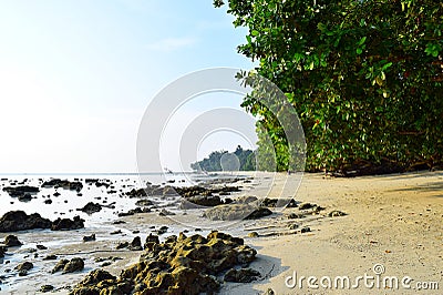 Serene Rocky Beach with Lush Green Mangroves on Bright Sunny Day - Vijaynagar, Havelock Island, Andaman, India Stock Photo