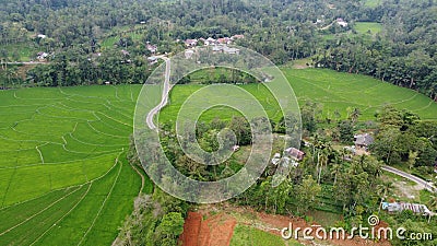 The Serene Beauty of Green Fields, Fruitful Orchards, and Traditional Village Life Stock Photo