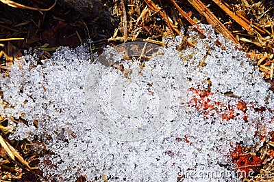 Different Shapes of Crystals of Transparent Clear White Snow Accumulated after Snow Fall in Winter Stock Photo