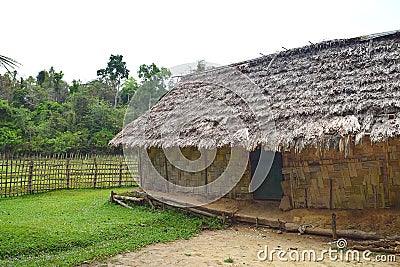 Thatched Tribal Hut, Grass, Fence, and Greenery at Village, Baratang Island, Andaman Nicobar, India Stock Photo