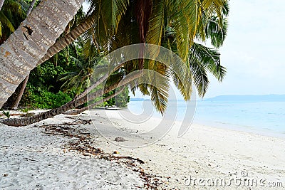 White Sandy Beach with Azure Water with Palm Trees and Greenery - Vijaynagar, Havelock, Andaman Nicobar, India Stock Photo