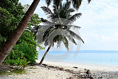 White Sandy Beach with Blue Sea Water with Coconut Trees and Greenery - Vijaynagar, Havelock, Andaman Nicobar, India Stock Photo