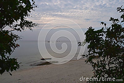 Through Window of Nature - View of Peaceful and Uncrowded White Sandy Beach from Gap between Trees Stock Photo