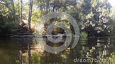 Photograph at the water`s edge in a river in CÃ¡ceres with stones in the background and tree branches in the water, in Spain. Stock Photo