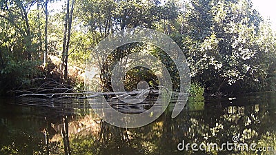 Photograph at the water`s edge in a river in CÃ¡ceres with stones in the background and tree branches in the water, in Spain. Stock Photo