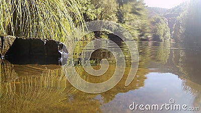 Photograph at the water`s edge in a river in CÃ¡ceres with stones in the background and tree branches in the water, in Spain. Stock Photo