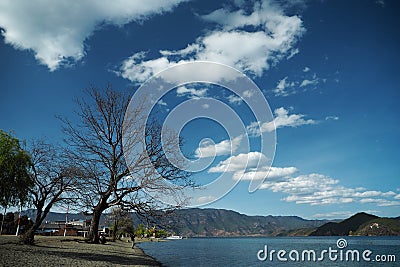 Trees on the shore of Lugu lake Editorial Stock Photo