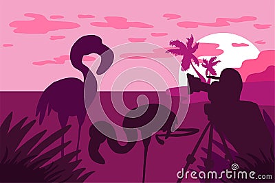 Photographer photographs flamingo in nature Stock Photo