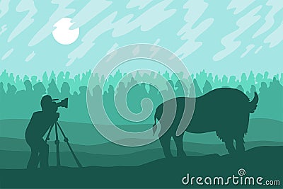 Photographer photographs walking bizon on field Stock Photo