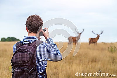 Photographer taking photo of wildlife Stock Photo