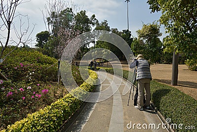 Photographer taking picture garden Editorial Stock Photo