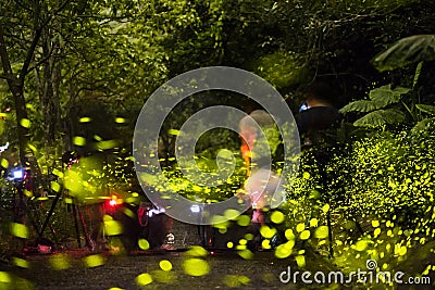 Photographers shooting fireflies in the dark Stock Photo