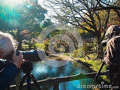 Photographers are shooting nature photo with long zoom lens Editorial Stock Photo