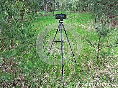 Photographing a forest landscape on a phone mounted on a professional photographer's tripod Stock Photo
