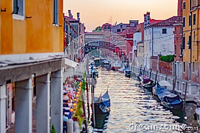 Photographs that portray Venice differently, chaotic and crowded, full of tourists and people going around, kids who live the city Editorial Stock Photo