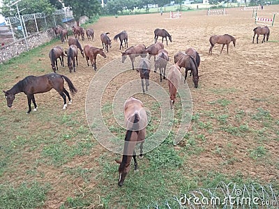 Photography craze fun morning time Stock Photo