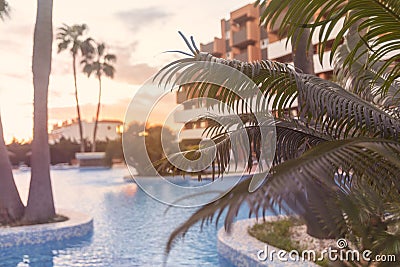 Photography of a residential area during the sunset with palms and pool Stock Photo