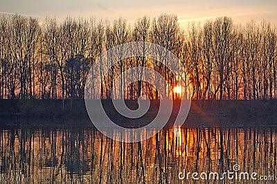 Photography of sunset through trees silhouettes by the Tisa river Stock Photo